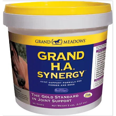 Grand Meadows Grand H.A Synergy