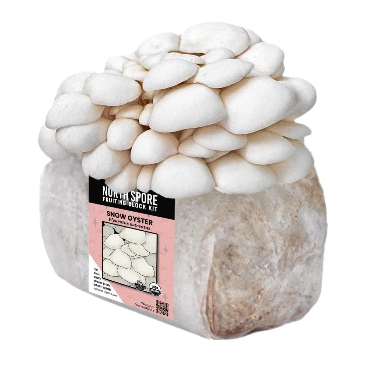 Organic Snow Oyster Mushroom Grow Kit Fruiting Block